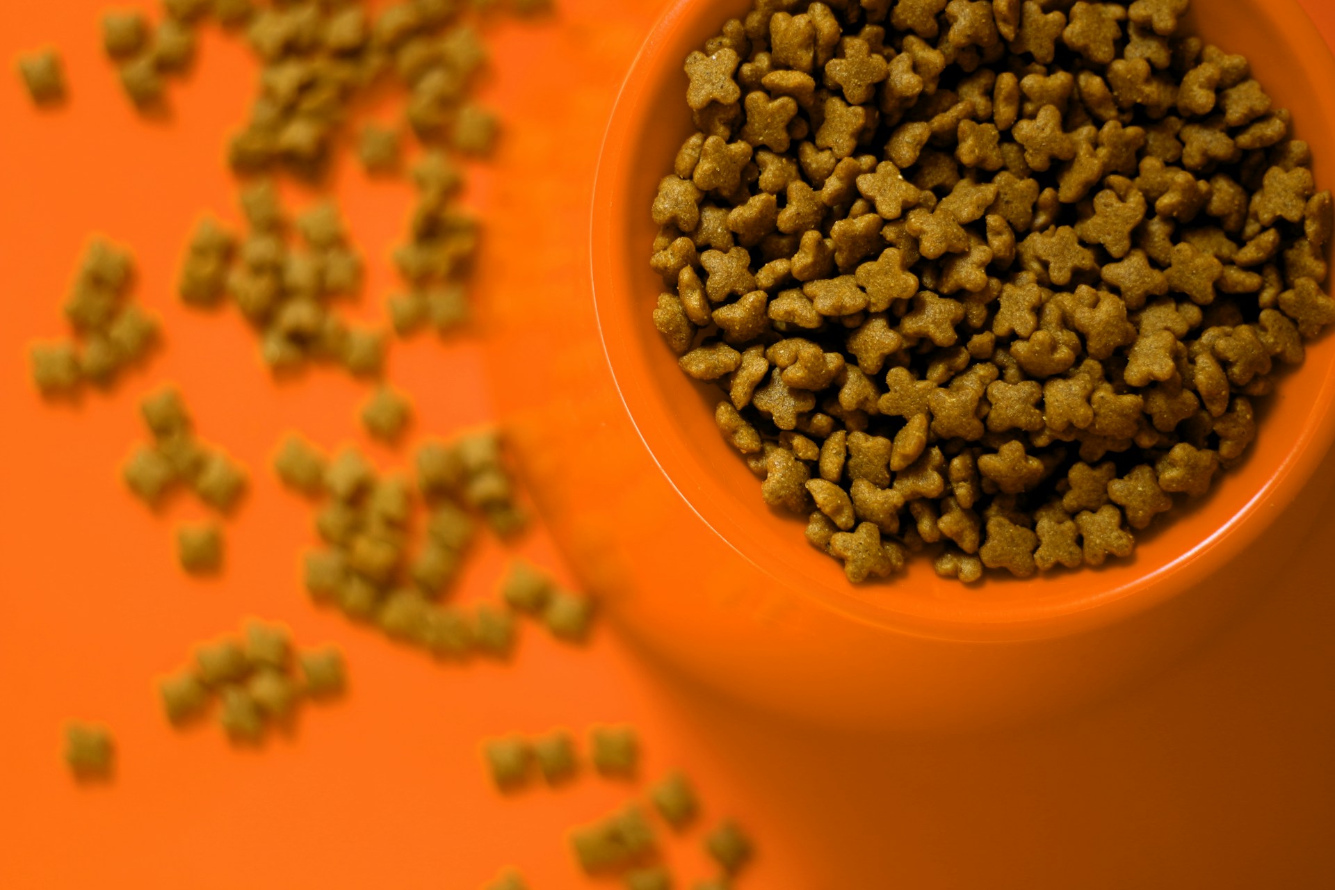 Pet Food, Birdseed, and Bulk Dry Goods