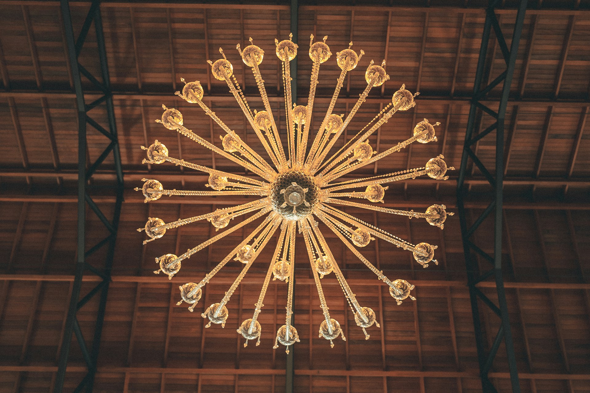 Statement Ceiling Medallions