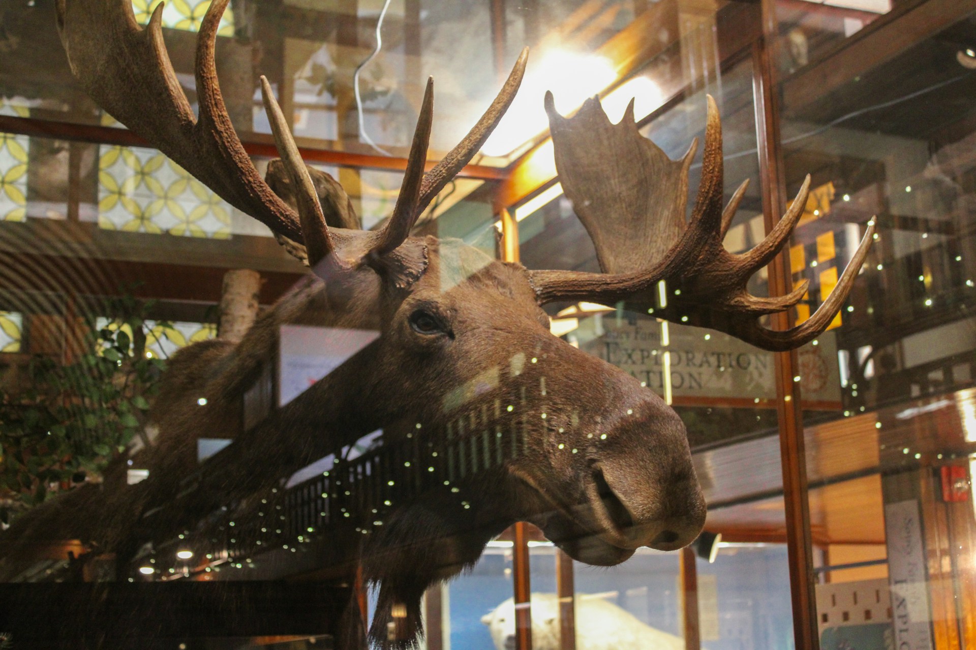 Leaning on Cases and Plinths