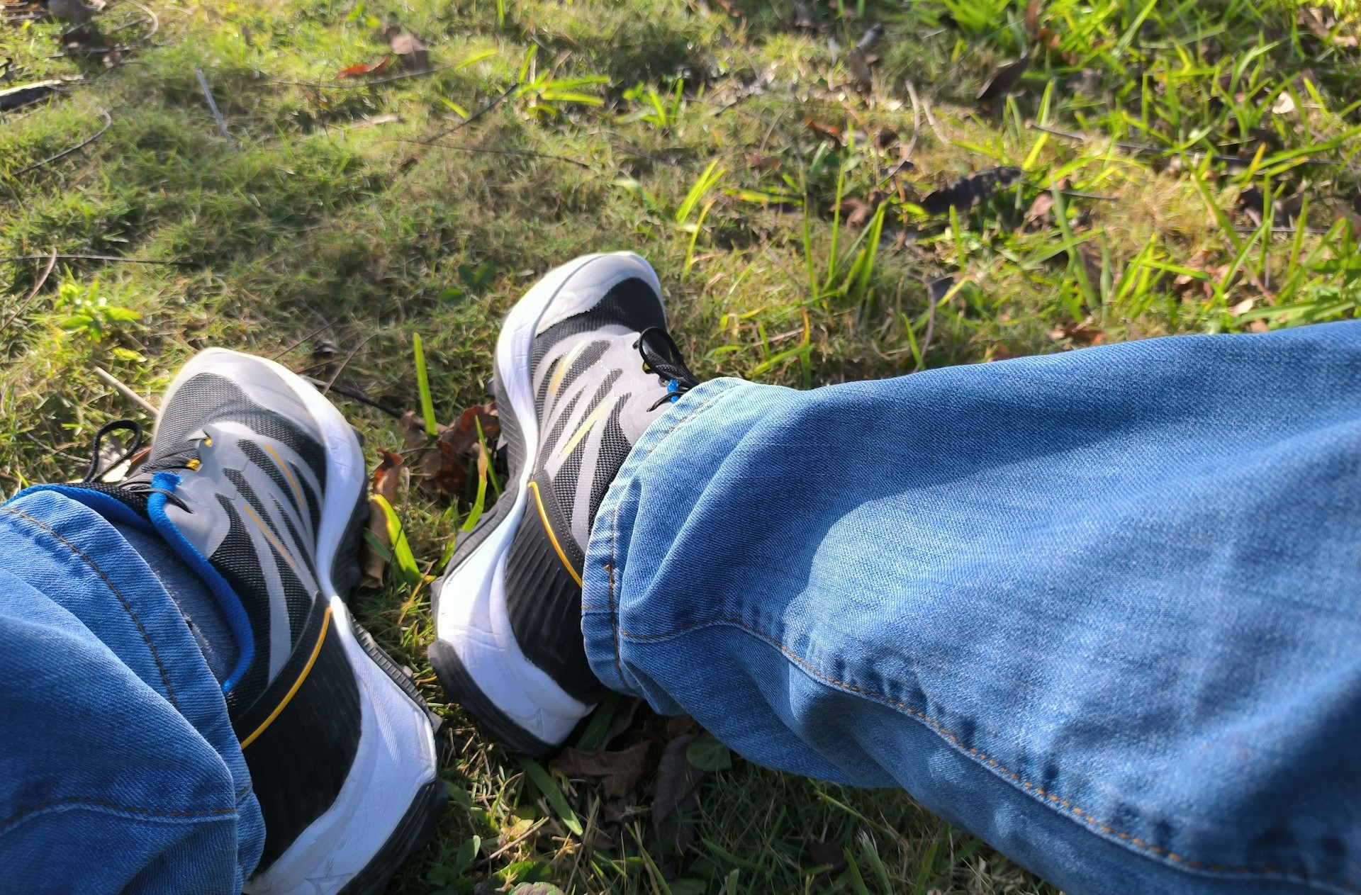 The Body Keeps Its Own Score