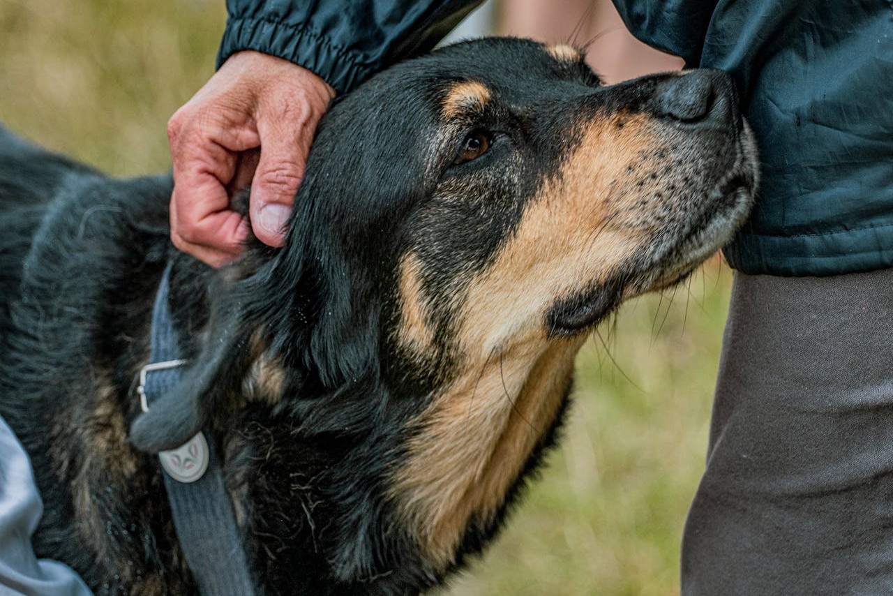 Escalation When Early Signals Are Missed