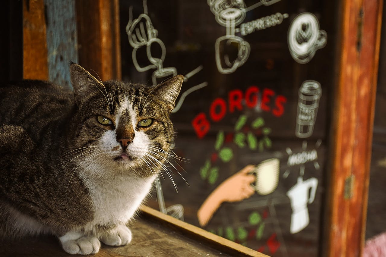 Side-Eye and a Tightened Face