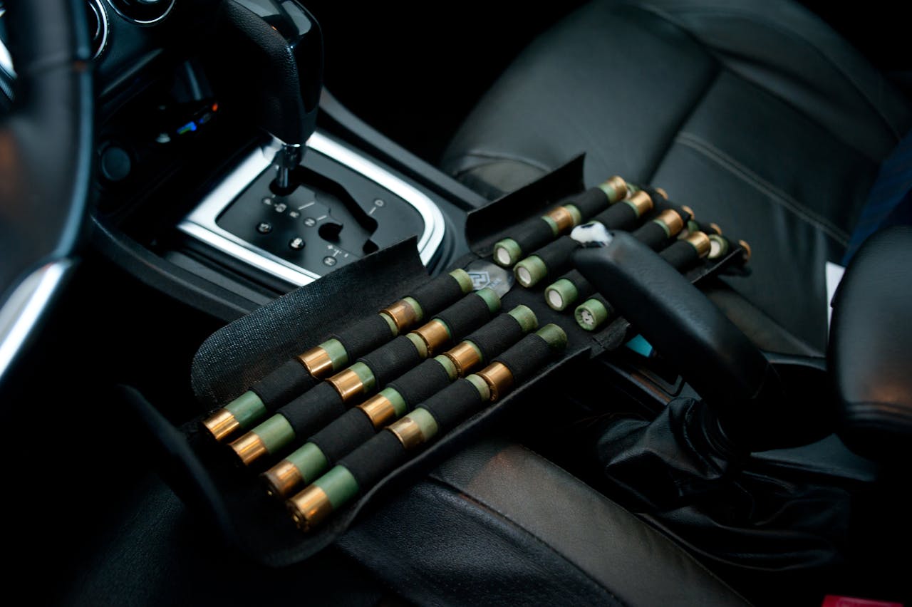 Gun