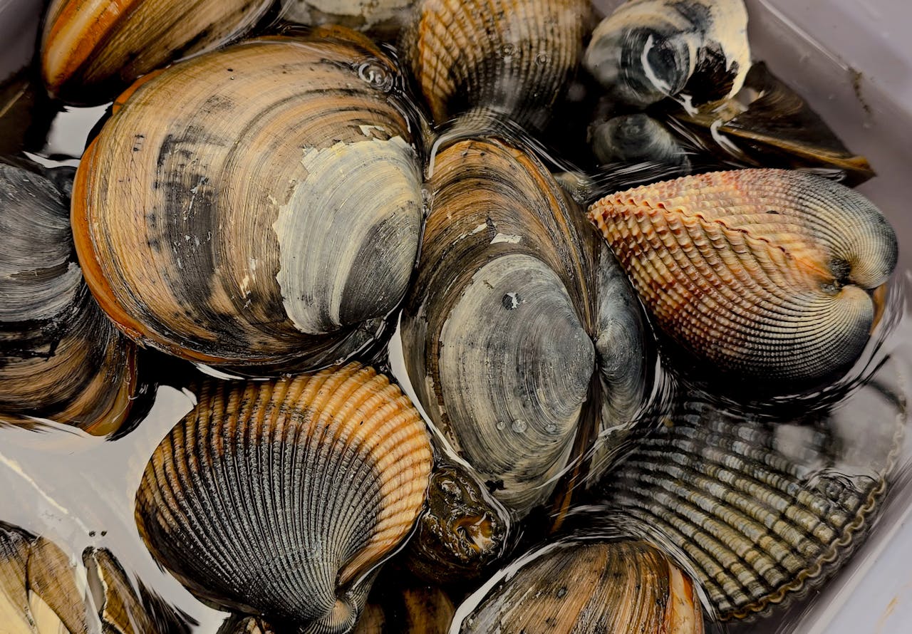 Singapore Wet Market