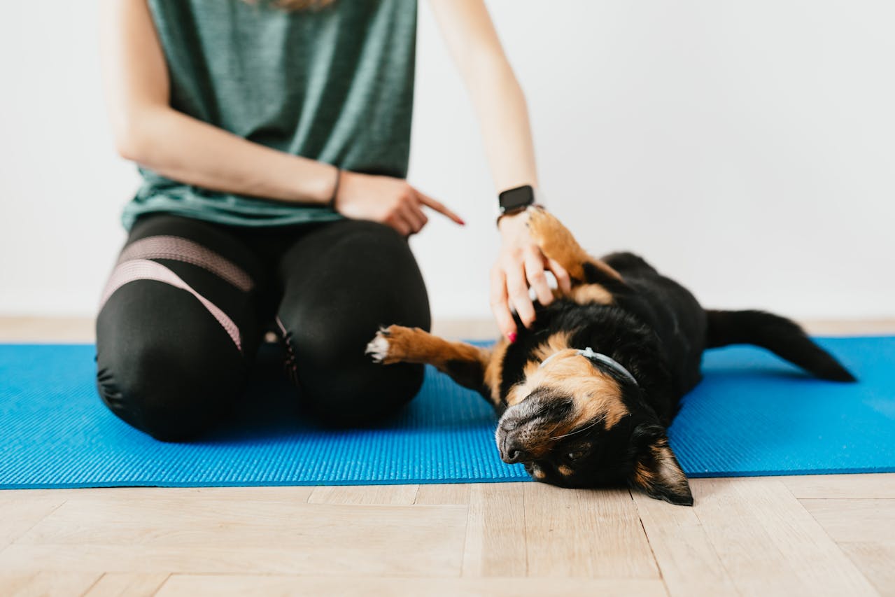 Mat Training for Between-Moments Calm