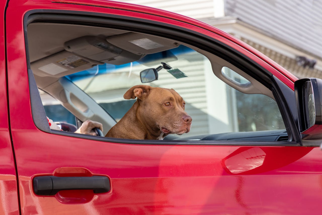 Car Prep That Lowers Parking-Lot Stress
