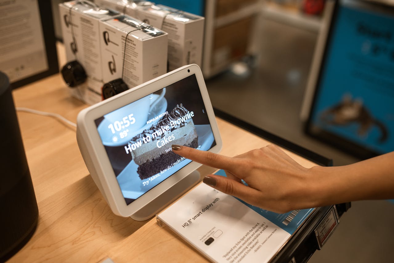 Rossi-Carla_Exquisite-Counterfeits_13 smart home