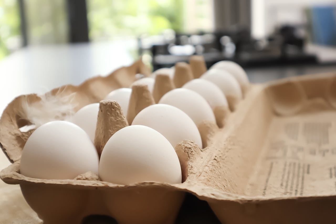 Egg Carton