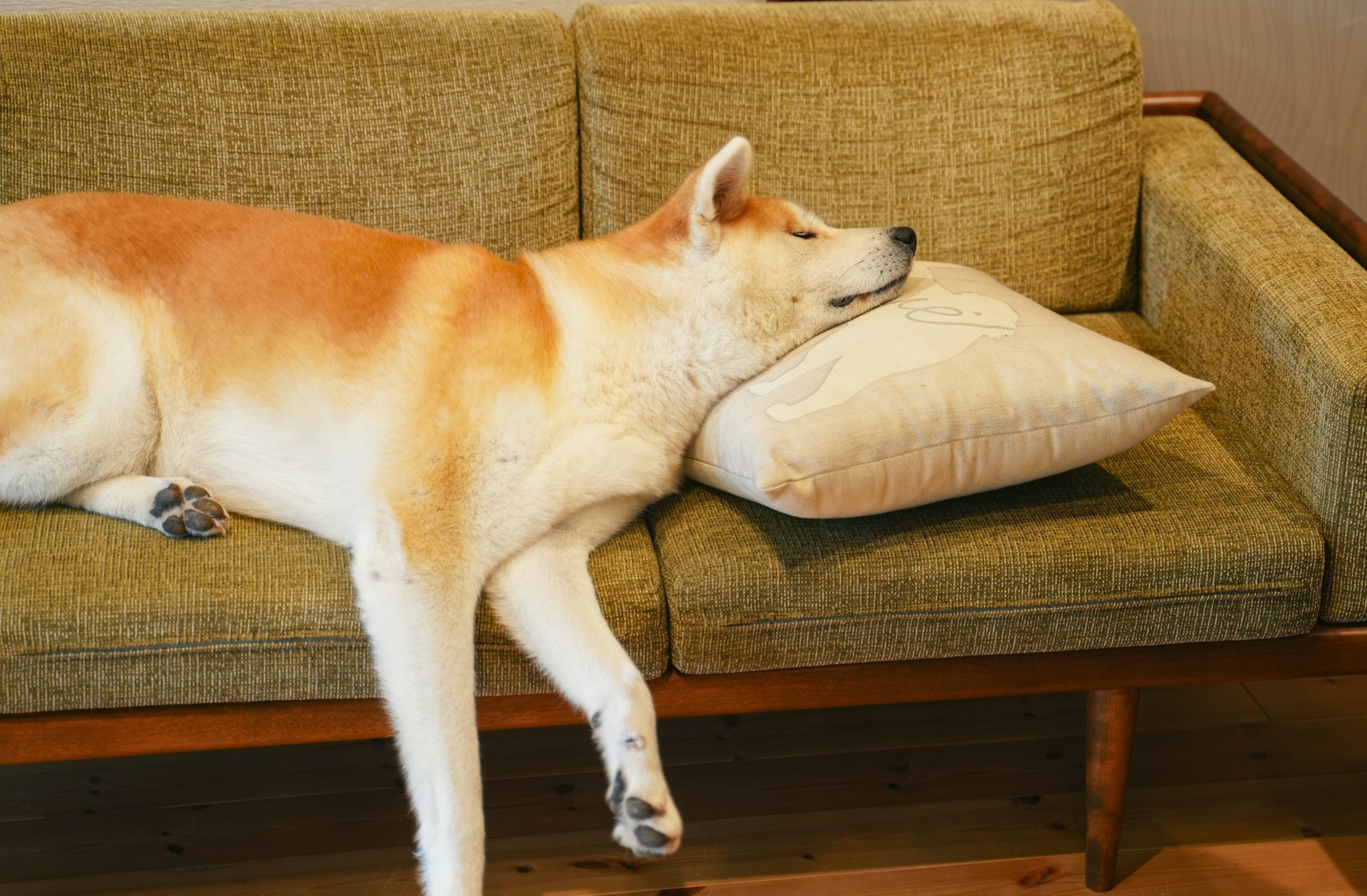 Overstimulation And Trigger Stackingcking