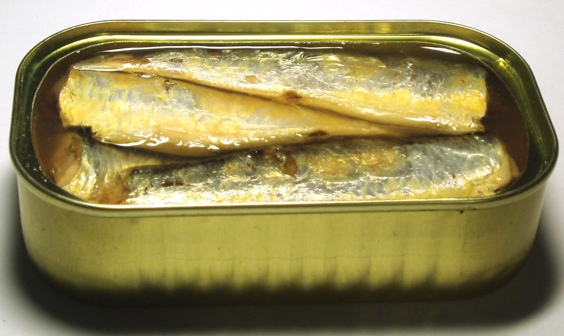 Sardine