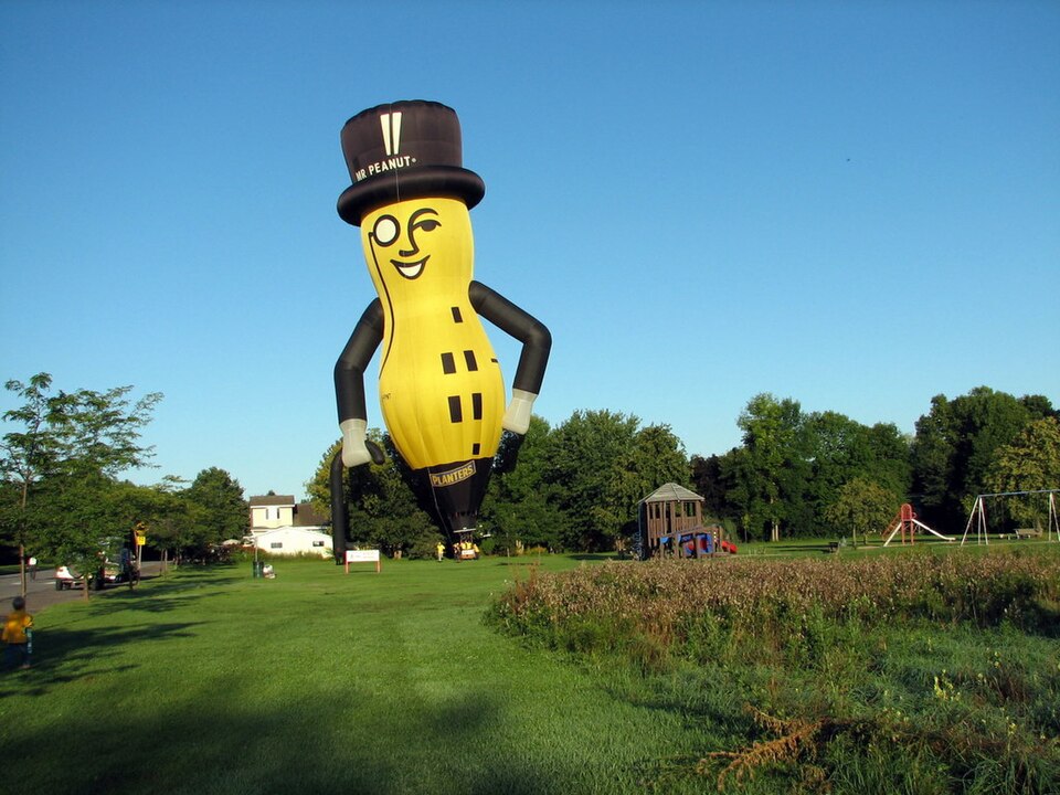 Mr. Peanut