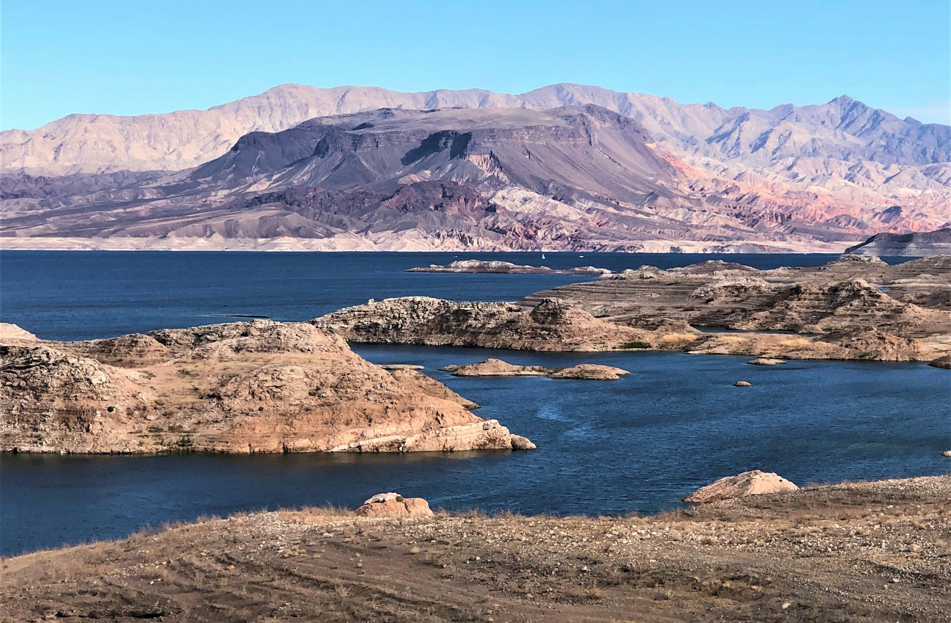 Rossi-Carla_Exquisite-Counterfeits_13 1. The Advisory Marked a Real Shift in Risk