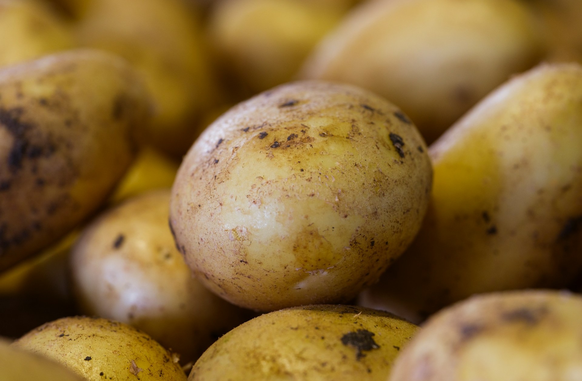 Rossi-Carla_Exquisite-Counterfeits_13 Wrinkles Often Mean Age, Not Immediate Danger