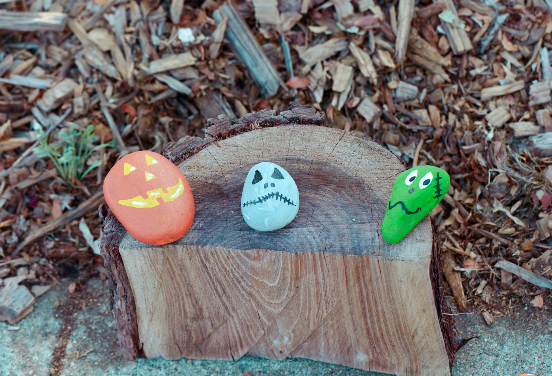 Rossi-Carla_Exquisite-Counterfeits_13 Pet rock