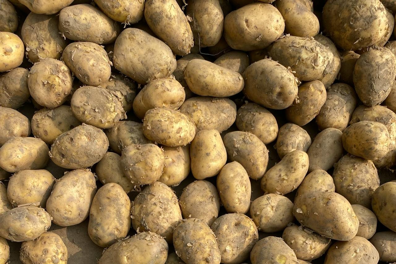 Wrinkles Often Mean Age, Not Immediate Danger