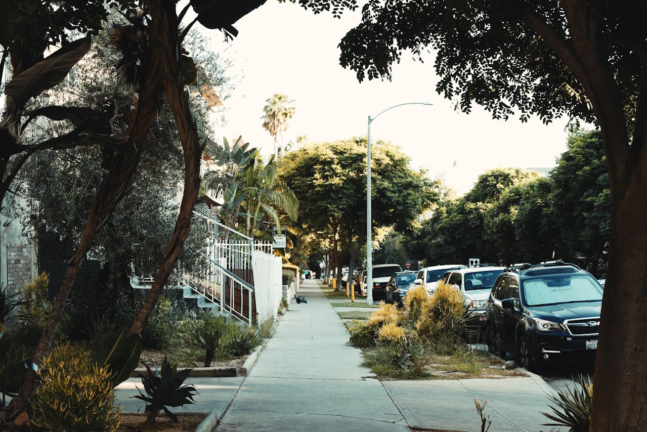 International Arrivals Steady the Totals