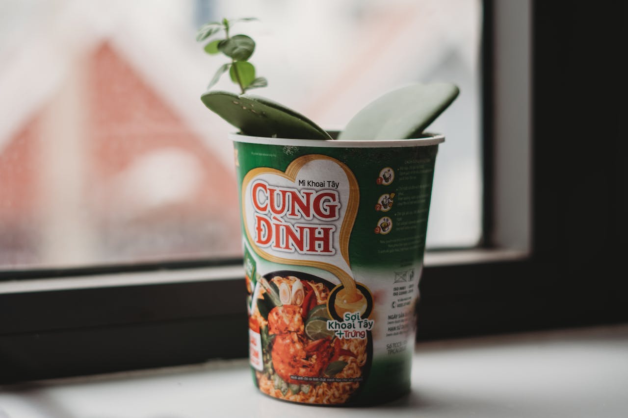 Rossi-Carla_Exquisite-Counterfeits_13 cup noodles