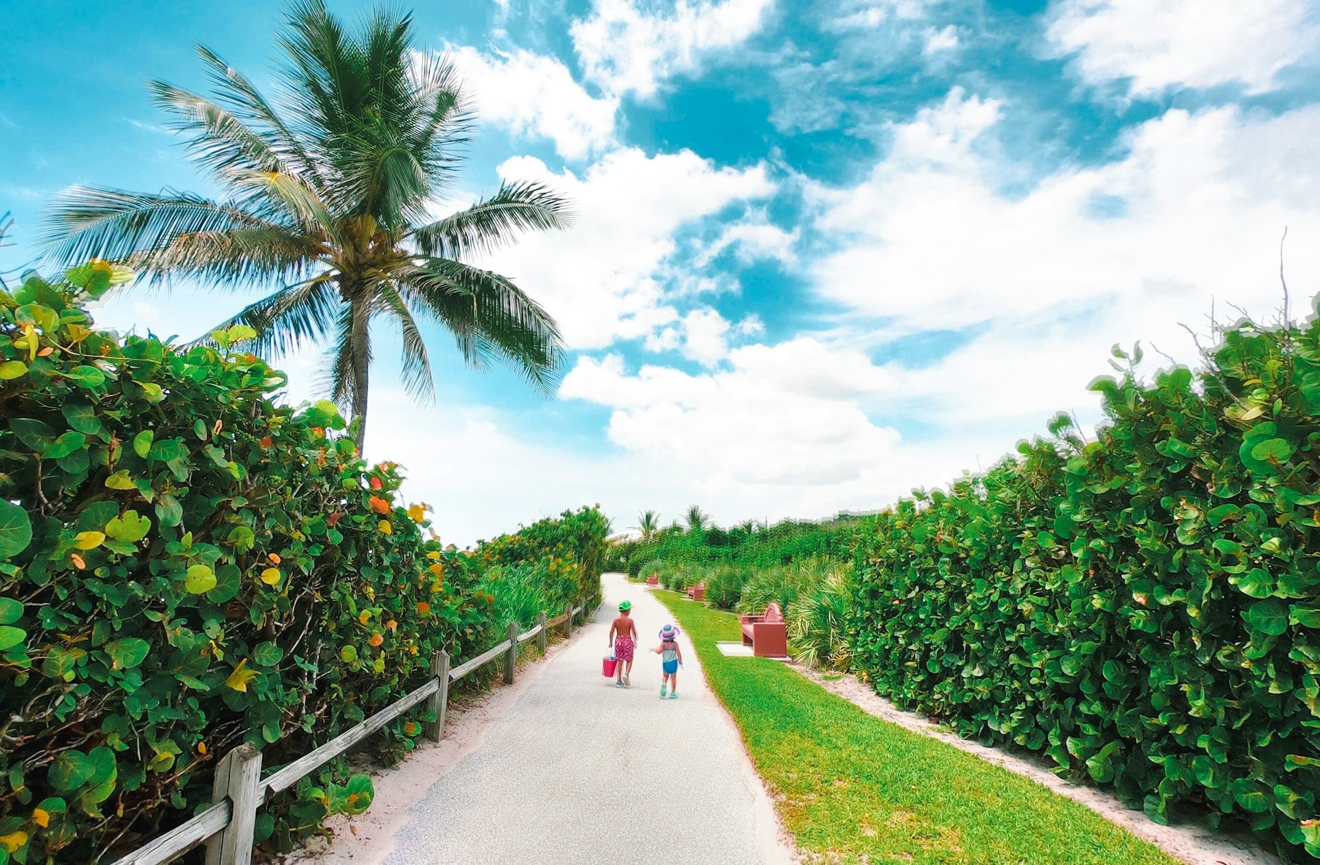 What The Warning Is And What It Is Not