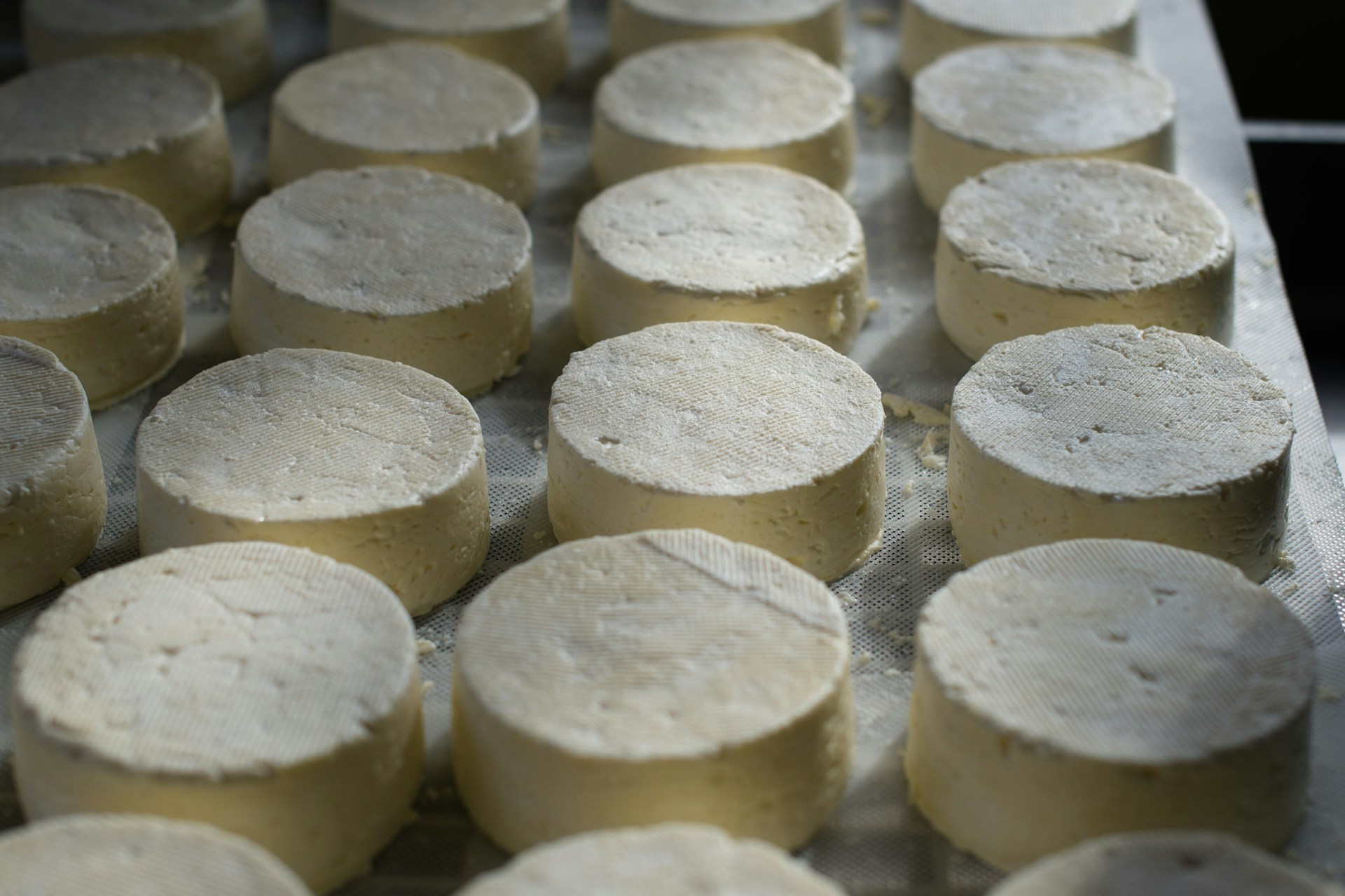 Fresh Raw-Milk Cheese Sold Young