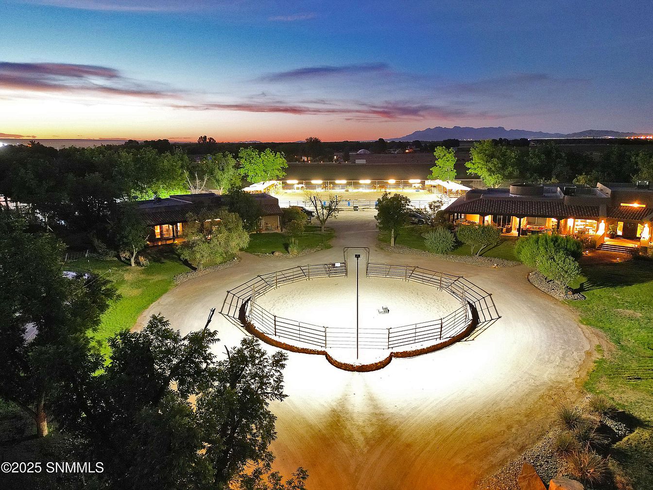 Rossi-Carla_Exquisite-Counterfeits_13