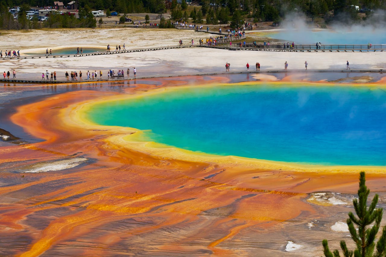 Yellowstone Thermal Basins